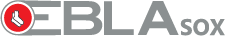 Logo 4