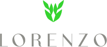 Logo 2